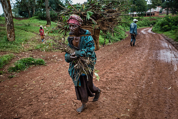 Congo 2016